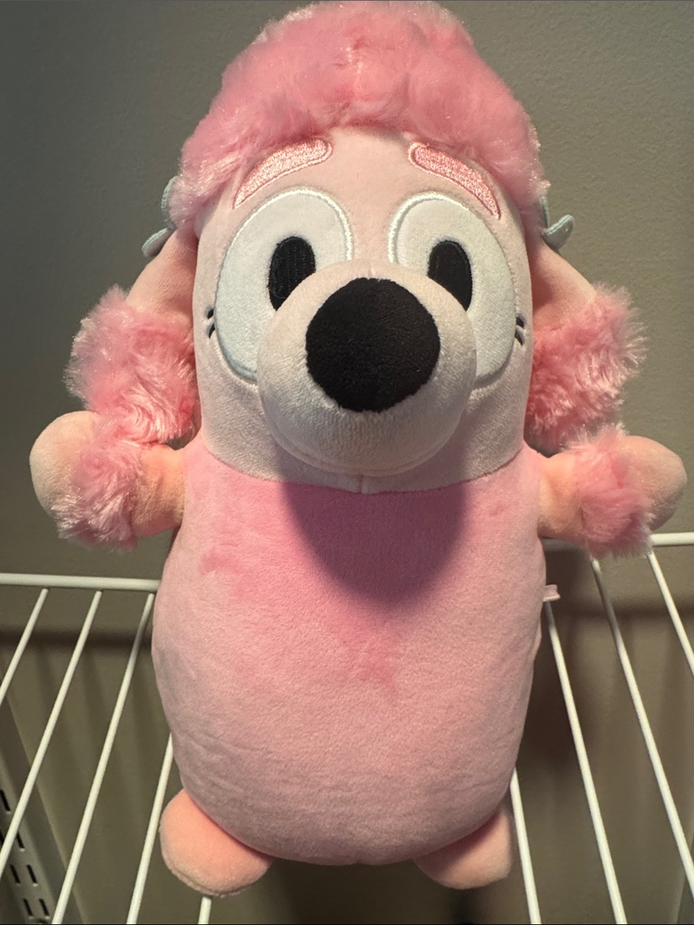 Squishmallows HugMees Plush Coco from Bluey